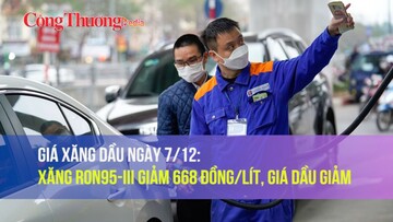 Giá xăng dầu ngày 7/12: Xăng RON95-III giảm 668 đồng/lít, giá dầu giảm