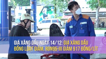 Giá xăng dầu ngày 14/12: Giá xăng dầu đồng loạt giảm, RON95-III giảm 917 đồng/lít