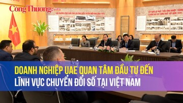 Doanh nghiệp UAE quan tâm đầu tư đến lĩnh vực chuyển đổi số tại Việt Nam
