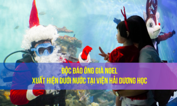 Độc đáo ông già Noel xuất hiện dưới nước tại Viện Hải dương học