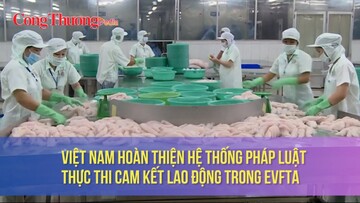 Việt Nam hoàn thiện hệ thống pháp luật thực thi cam kết lao động trong EVFTA