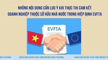Những nội dung cần lưu ý khi thực thi cam kết Doanh nghiệp nhà nước trong Hiệp định EVFTA