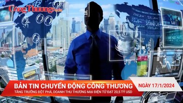 Tăng trưởng đột phá, doanh thu thương mại điện tử đạt 20,5 tỷ USD