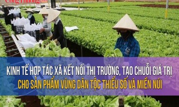 Kinh tế hợp tác xã tạo chuỗi giá trị cho sản phẩm vùng dân tộc thiểu số và miền núi