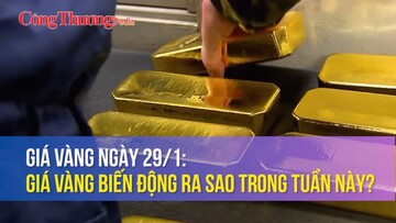 Giá vàng ngày 29/1: Giá vàng biến động ra sao trong tuần này?