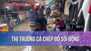 Thị trường cá chép đỏ sôi động