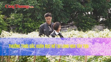 Thưởng thức sắc xuân rực rỡ tại làng hoa Tây Tựu