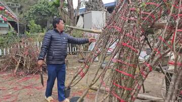 Hà Nội: Mới 29 Tết tiểu thương đã phá cây vì… xả lỗ vẫn ế khách