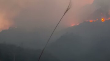 Lào Cai: Cháy lớn tại Vườn quốc gia Hoàng Liên