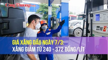 Giá xăng dầu ngày 7/3: Xăng giảm từ 240 - 372 đồng/lít