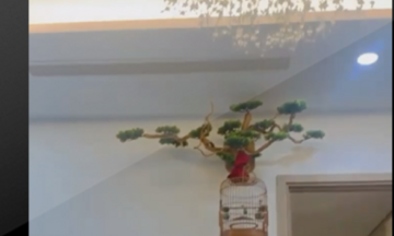 Một căn hộ rung lắc trong trận động đất 4 độ richter tại Hà Nội