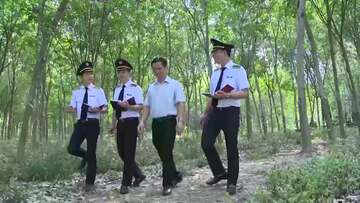 Tăng cường giám sát trồng rừng với những dự án ứng phó biến đổi khí hậu và tăng trưởng xanh