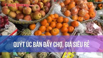 Quýt Úc bán đầy chợ, giá siêu rẻ