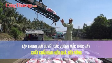 Tập trung giải quyết các vướng mắc thúc đẩy xuất khẩu gạo hiệu quả, bền vững