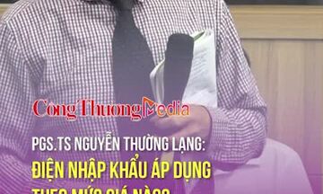 PGS.TS Nguyễn Thường Lạng: Điện nhập khẩu áp dụng theo mức giá nào?