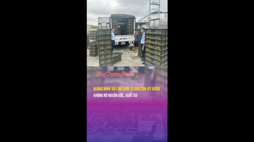 Quảng Ninh: Bắt giữ hơn 15.000 con vịt giống không rõ nguồn gốc, xuất xứ