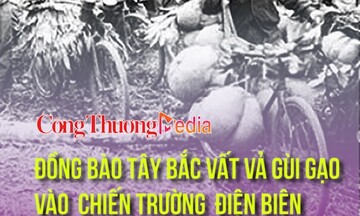 Đồng bào Tây Bắc vất vả gùi gạo vào chiến trường Điện Biên bằng phương tiện gì?