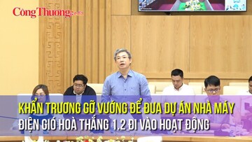 Khẩn trương gỡ vướng để đưa dự án Nhà máy điện gió Hoà Thắng 1.2 đi vào hoạt động