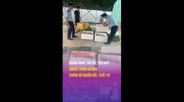 Quảng Ninh: Thu giữ, tiêu huỷ 800kg trứng gà non không rõ nguồn gốc, xuất xứ