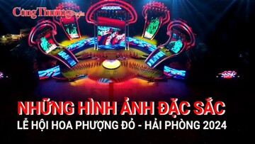 Những hình ảnh đặc sắc tại Lễ hội Hoa Phượng Đỏ - Hải Phòng 2024