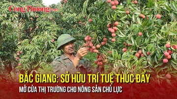 Bắc Giang: Sở hữu trí tuệ thúc đẩy mở cửa thị trường cho nông sản chủ lực