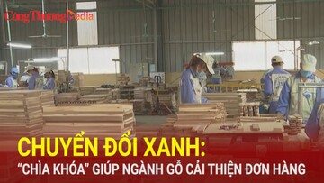 Chuyển đổi xanh: 'Chìa khóa' giúp ngành gỗ cải thiện đơn hàng
