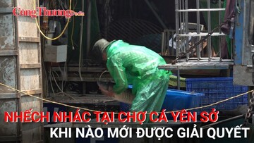 Nhếch nhác tại chợ cá Yên Sở: Khi nào mới được giải quyết?