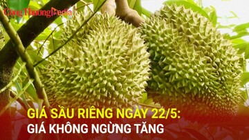 Giá sầu riêng ngày 22/5: Giá không ngừng tăng