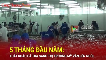 5 tháng đầu năm: Xuất khẩu cá tra sang thị trường Mỹ vẫn lên ngôi