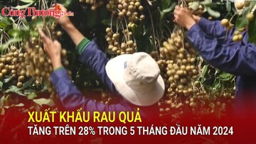 Xuất khẩu rau quả tăng trên 28% trong 5 tháng đầu năm 2024