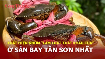 Xuất hiện nhóm “làm luật xuất khẩu cua” vào sân bay Tân Sơn Nhất