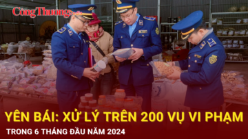 Yên Bái: Xử lý trên 200 vụ vi phạm trên địa bàn tỉnh trong 6 tháng đầu năm 2024