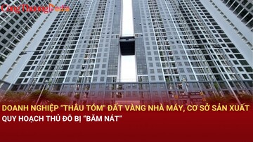 Doanh nghiệp 