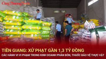 Tiền Giang: Xử phạt 1,3 tỷ đồng trong kinh doanh phân bón, thuốc bảo vệ thực vật