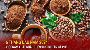 6 tháng đầu năm 2024: Việt Nam xuất khẩu trên 903.000 tấn cà phê