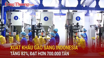 Xuất khẩu gạo sang Indonesia tăng 82%, đạt hơn 700.000 tấn