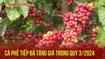 Cà phê tiếp đà tăng giá trong quý 3/2024