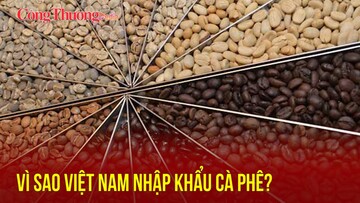 Vì sao Việt Nam nhập khẩu cà phê?