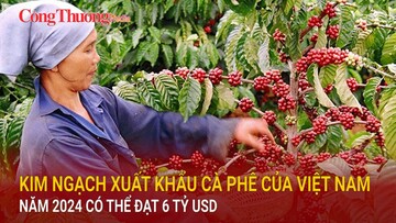 Kim ngạch xuất khẩu cà phê của Việt Nam năm 2024 có thể đạt 6 tỷ USD