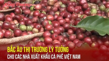 Bắc Âu: Thị trường lý tưởng cho các nhà xuất khẩu cà phê Việt Nam