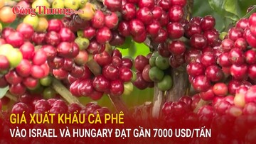 Giá xuất khẩu cà phê vào Israel và Hungary đạt gần 7000 USD/tấn