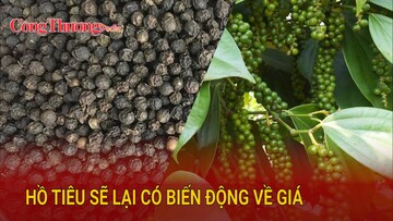 Hồ tiêu sẽ lại có biến động về giá