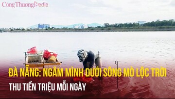 Đà Nẵng: Ngâm mình dưới nước mò lộc trời, người dân thu tiền triệu mỗi ngày