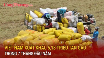 Việt Nam xuất khẩu 5,18 triệu tấn gạo trong 7 tháng đầu năm