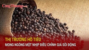 Thị trường hồ tiêu mong ngóng một nhịp điều chỉnh giá sôi động