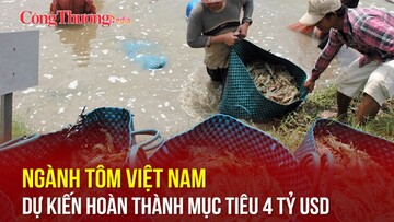 Ngành tôm Việt Nam dự kiến hoàn thành mục tiêu 4 tỷ USD