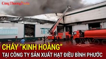 Bình Phước: Hàng ngàn m2 nhà xưởng công ty sản xuất hạt điều cháy rụi