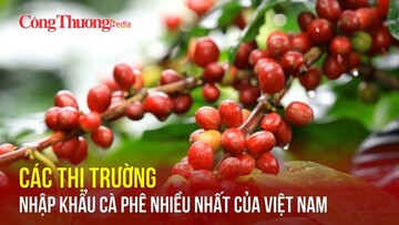 Các thị trường nhập khẩu cà phê nhiều nhất của Việt Nam