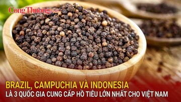 Brazil, Campuchia và Indonesia là 3 quốc gia cung cấp hồ tiêu lớn nhất cho Việt Nam