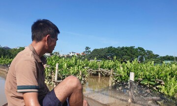 Hàng trăm tỷ ngâm trong nước, người dân Hà Nội lo mất Tết